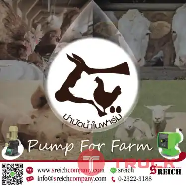 ปั๊มสูบส่งมูลสัตว์ เข้าบ่อหมักเพื่อผลิตก๊าซชีวภาพ