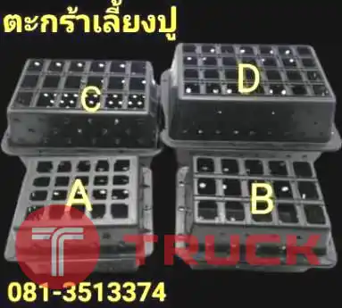 ตะกร้าเลี้ยงปูราคาส่ง สมุทรสาคร สมุทรสงคราม กล่องเลี้ยงปูขายออนไลน์ ประจวบ สงขลา
