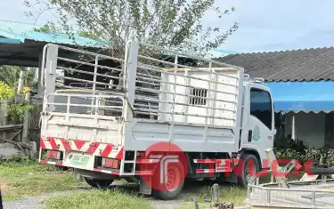 ISUZU NLR 130 แรง ปี 2020 รถศูนย์แท้