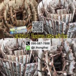 โซ่พร้อมใบ EX 60-1 ใบยาว 45 CM เก่าใน