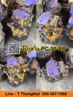 โป๊ะสวิง PC 30-8R สนใจติดต่อ คุณนิว 0955877888