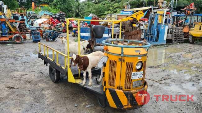 ขาย รถบรรทุกสามล้อ หัวแตงโม เครื่อง ROBIN เบนซิน 8.5 แรง ยาว 3 เมตร กระบะ 120x190x40 cm