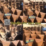 โซ่เก่าญี่ปุ่น D7H ใบยาว90cm 46ข้อ สนใจติดต่อ คุณนิว 095-5877888 081-8318129