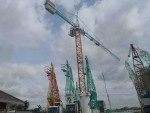 ขาย Tower Crane Potain SP 125 B สภาพดีพร้อมใช้งาน