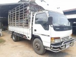 6 ล้อ ISUZU NPR-175 แรง
