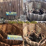 โซ่ PC40-1 36ข้อ ใบยาว 40c เก่าใน