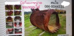 ปุ้งกี๋แยกของหมุนได้ จากญี่ปุ่น โทร 089-0080077 089-0050007 086-0044333 065-8844400 www.sangenjp.com www.nmc99.com