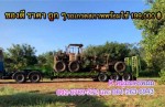 KOMATSU GD37-6