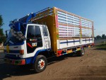 ขายรถ6ล้ออีซูซุร็อคกี้FRR185แรง กระบะยาว6.20แชชซีสวยทะเบียนครบ ยาง8.25R16ทิ๊ฟฟี่ แอร์