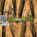 บูม PC 200-2