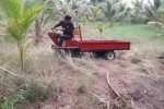 สนใจ รถบรรทุก ล้อยาง ไว้ใช้ในสวน ในไร่ แวะชมได้ที่ tractor-backhoe นะครับ คันนี้ 32000 บาท พร้อมใช้