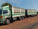 ขายคับ HINO 320 ปี 48 แม่ ลูกไม่ดั้ม โทร 092-4306452(นพ)
