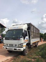 ISUZU NQR ปี 49