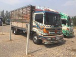 ขาย6ล้อHINO MEGA150แรงยาว5.50M กระบะไม้ ปี46 แชชซีสวยเครื่องเดิมทะเบียนครบ