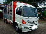 ฮีโน่ FC9J Mega 145 ปี52 กระบะเนียม รถสวย พร้อมใช้งาน เครื่องดี คัซซีสวย กระบะบรรทุกคอกสูง