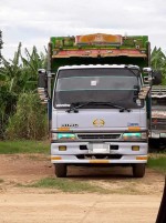 HINO 6 ล้อดั้มคอกเกษตร เครื่อง JO5C-140 แรง ปี 43